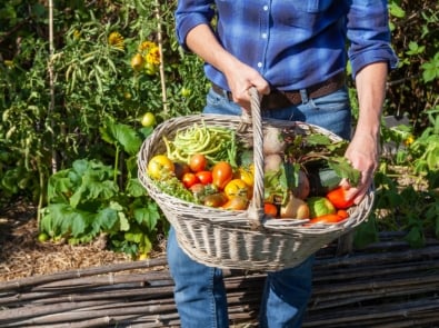 15 Tips On How To Store and Preserve Your Garden Harvest featured image