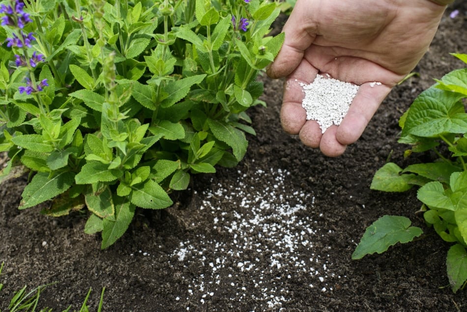 Fertiliser - Plants