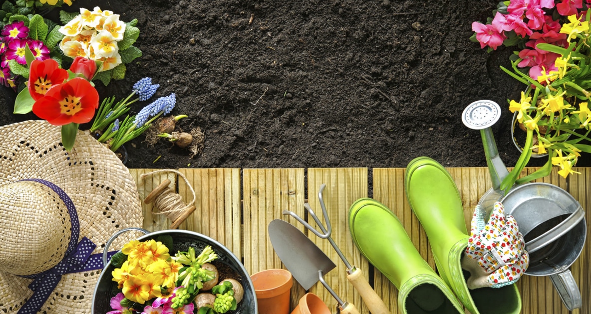 Terrace garden - Garden