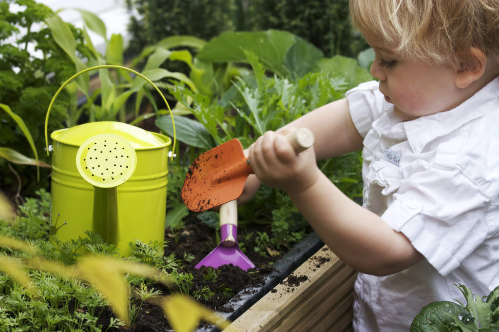 toddler gardening