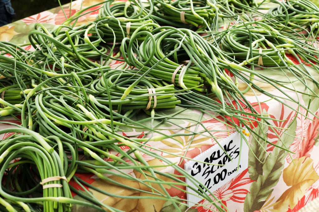 Vegetable - Scape