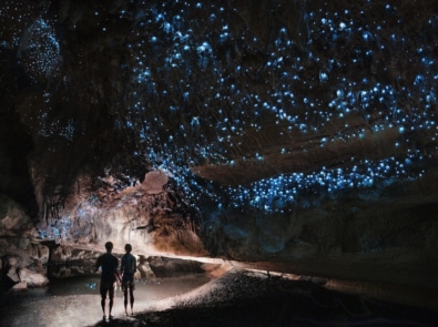 Glowworms: The Crazy World of Dismalites featured image