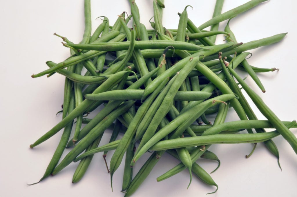 Fresh garden green beans.