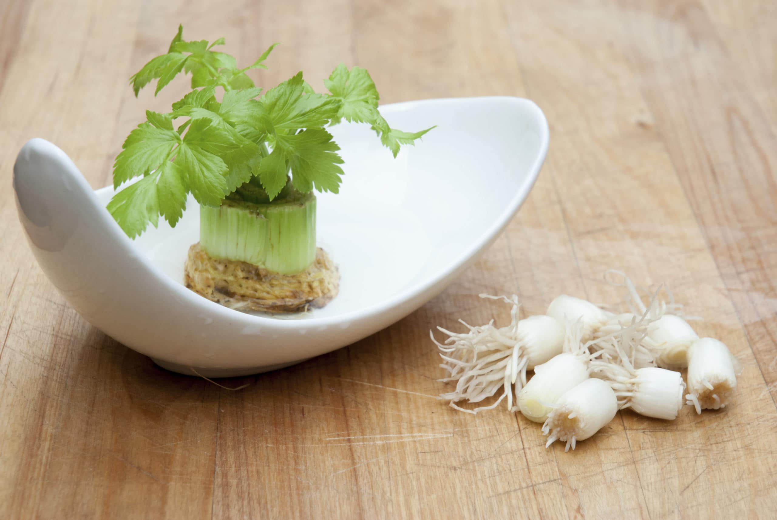 You Can Grow Your Own Vegetables with Potato Grow Bags Instead of