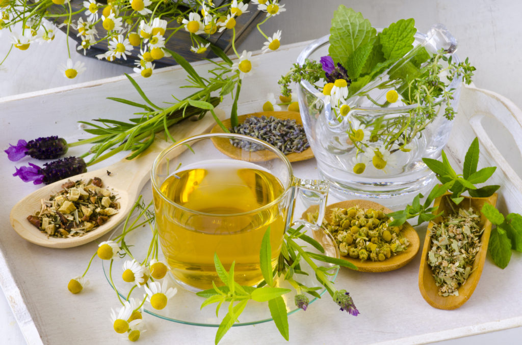 herbs for herbal teas