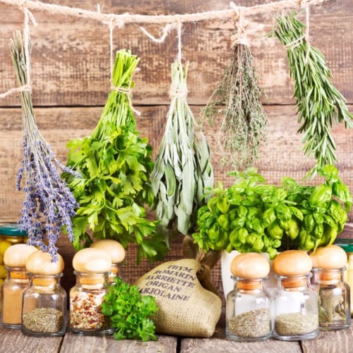 Seed and Herb Drying Rack