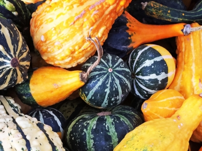 How to Dry Gourds featured image