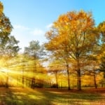 Image - Stock photography