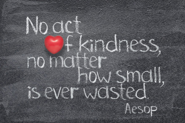 No act of kindness however small is ever wasted.