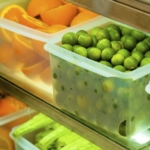 Refrigerator - Expiration date