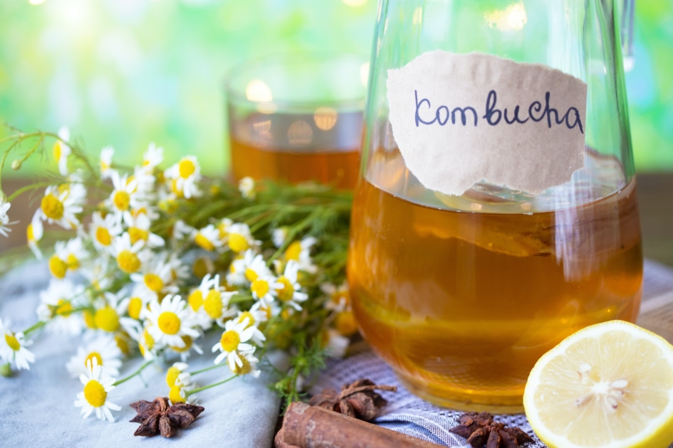 Kombucha - Tea