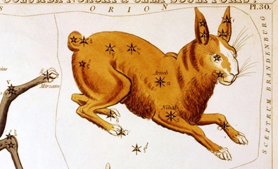 Canis Major - Constellation