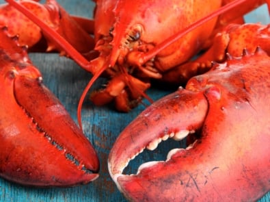 National Lobster Day featured image
