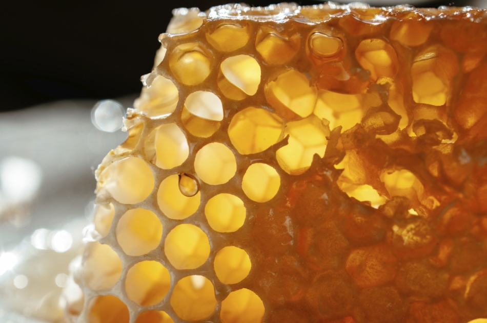 Fresh honeycomb close-up with a splash of honey in one of the hexagon.
