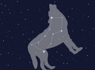 Star - Constellation