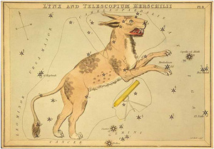 Constellation - Lynx