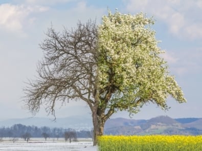 When is the meteorological Start of Spring? featured image