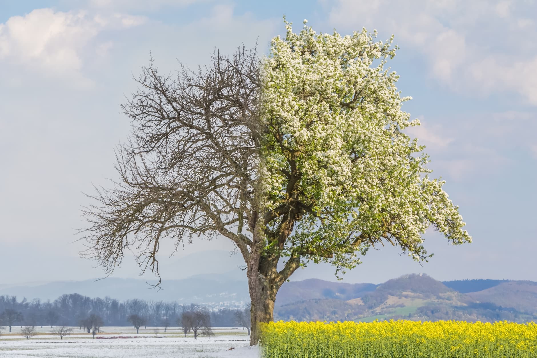 Goodbye Winter, Hello Spring? Farmers' Almanac