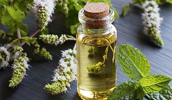 Peppermint - Spearmint oil.