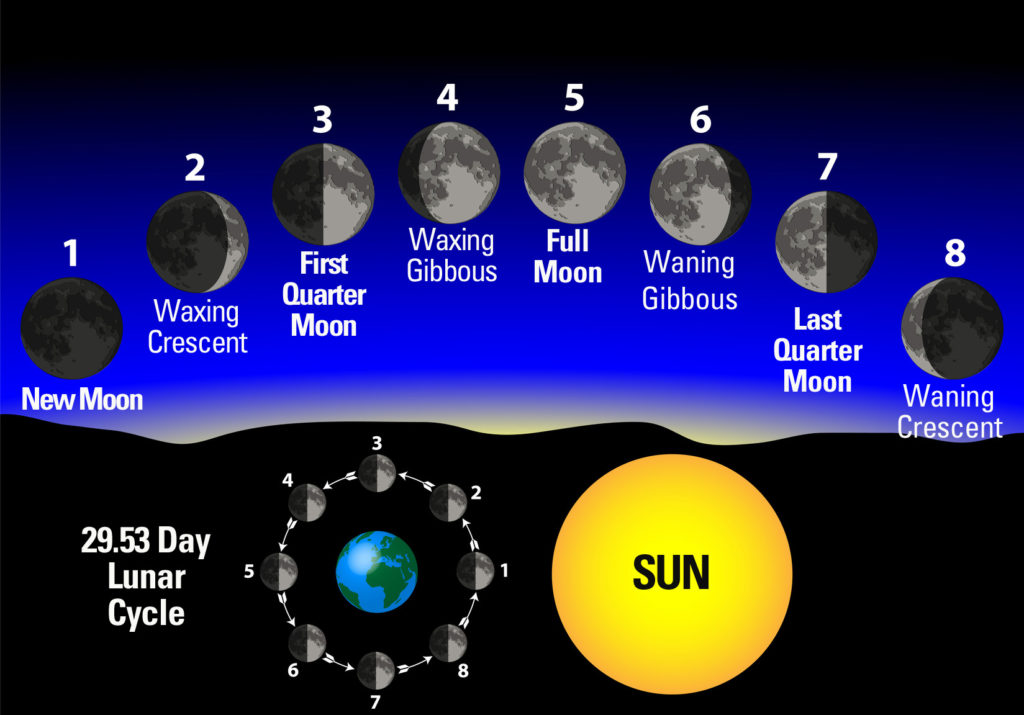 A Terminator That S Science Not Fiction Farmers Almanac