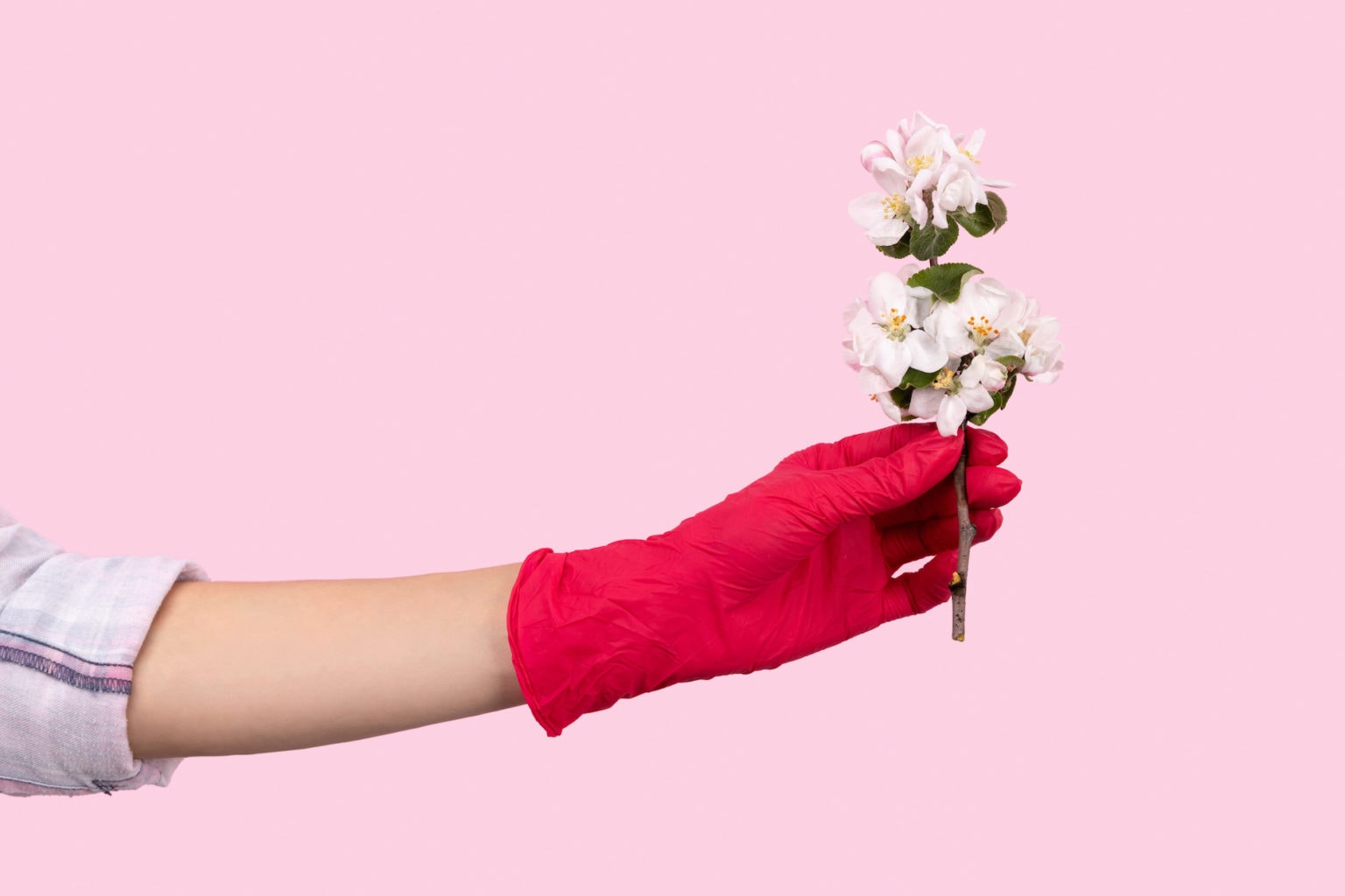 Mother's Day Gift Ideas During Quarantine Farmers' Almanac Plan