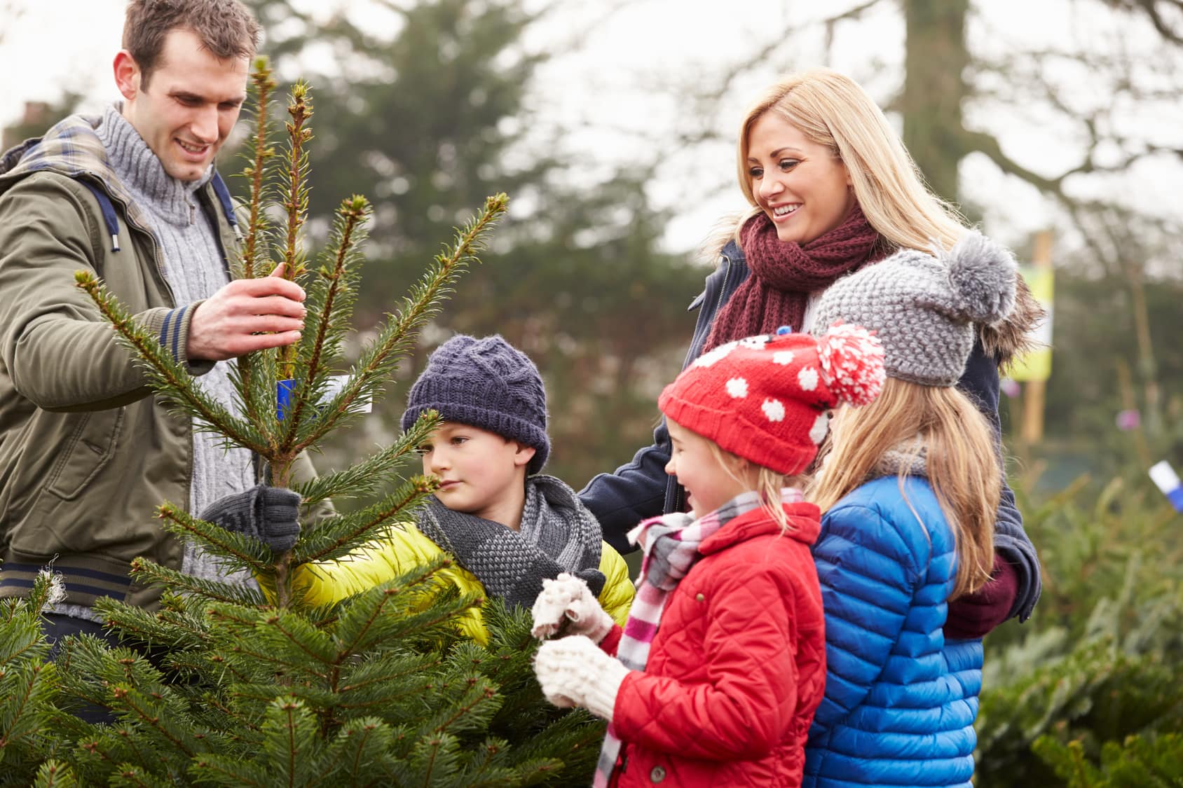 The Christmas Tree Dilemma Real or Fake? Farmers' Almanac Plan