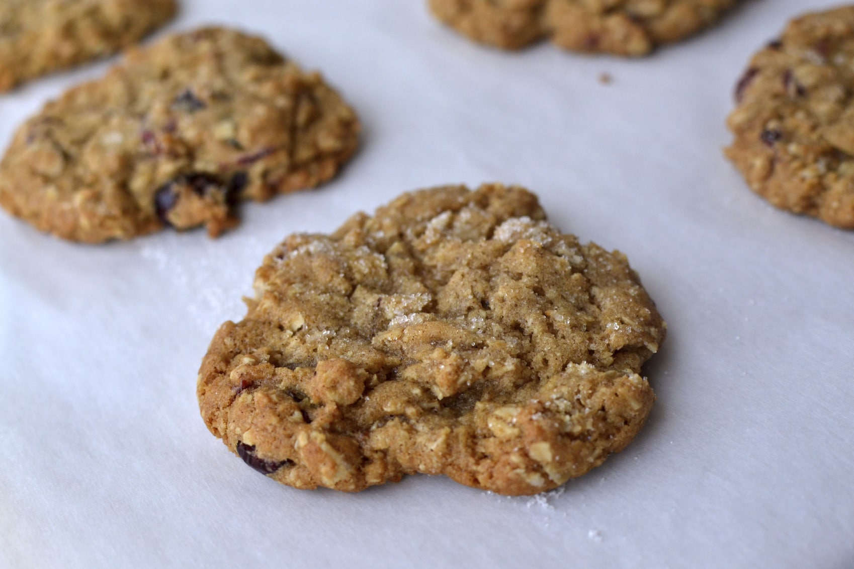 Best Ever Oatmeal Cookie Recipe