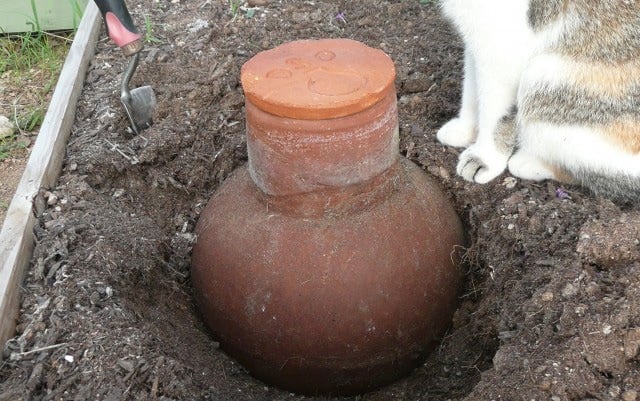 olla being buried in ground