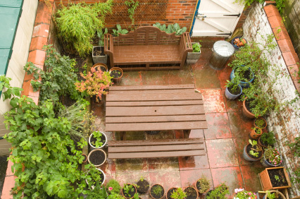 Garden - Kitchen garden