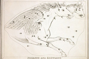 Pegasus - Horse