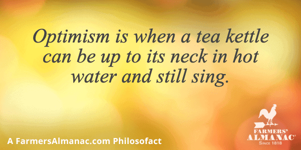 Optimism is when a tea kettle can be up to its neck in hot water and still sing.image preview