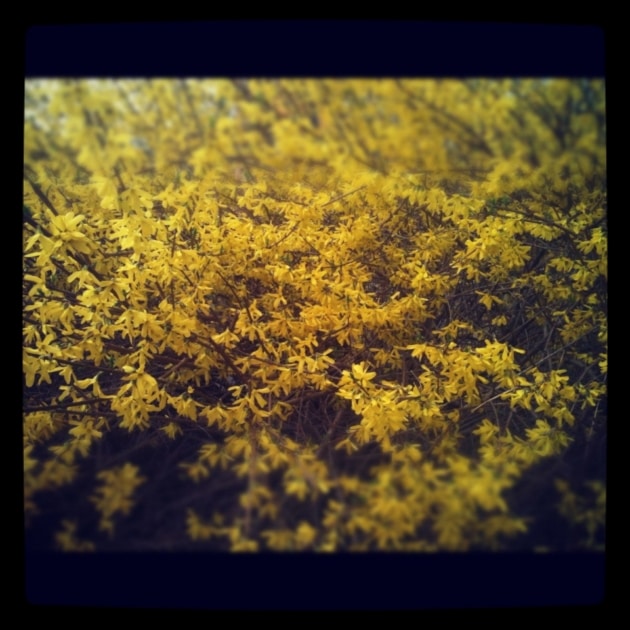 Spring - Farmers' Almanac