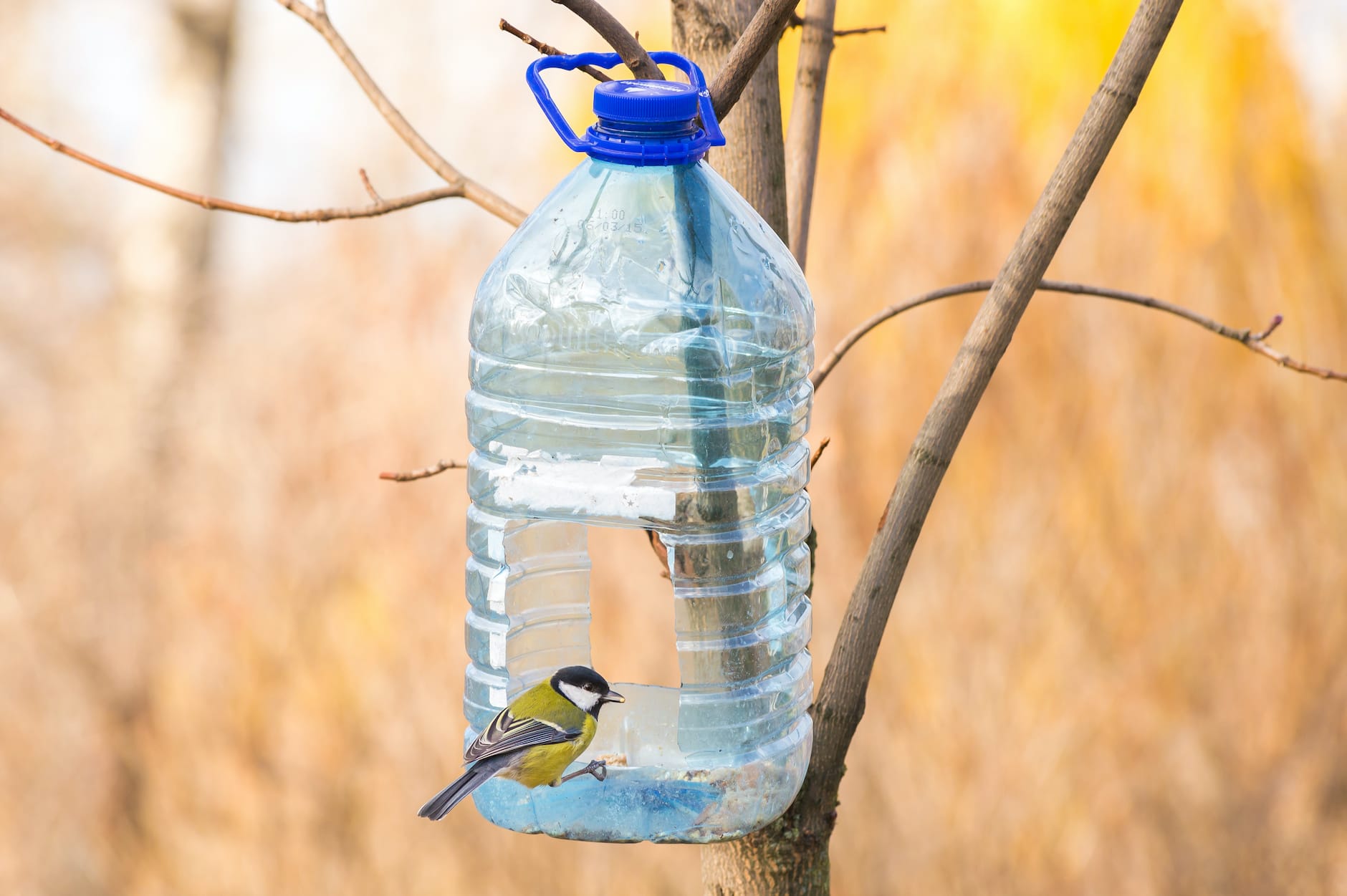 Repurpose Your Recyclables Farmers Almanac