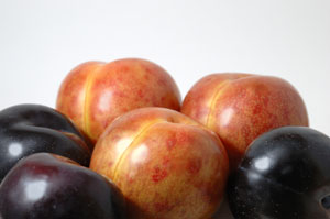 What the Heck Are Pluots? featured image