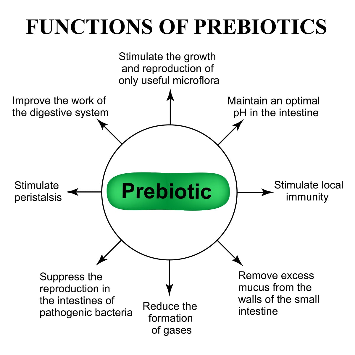 functions of prebiotics graph