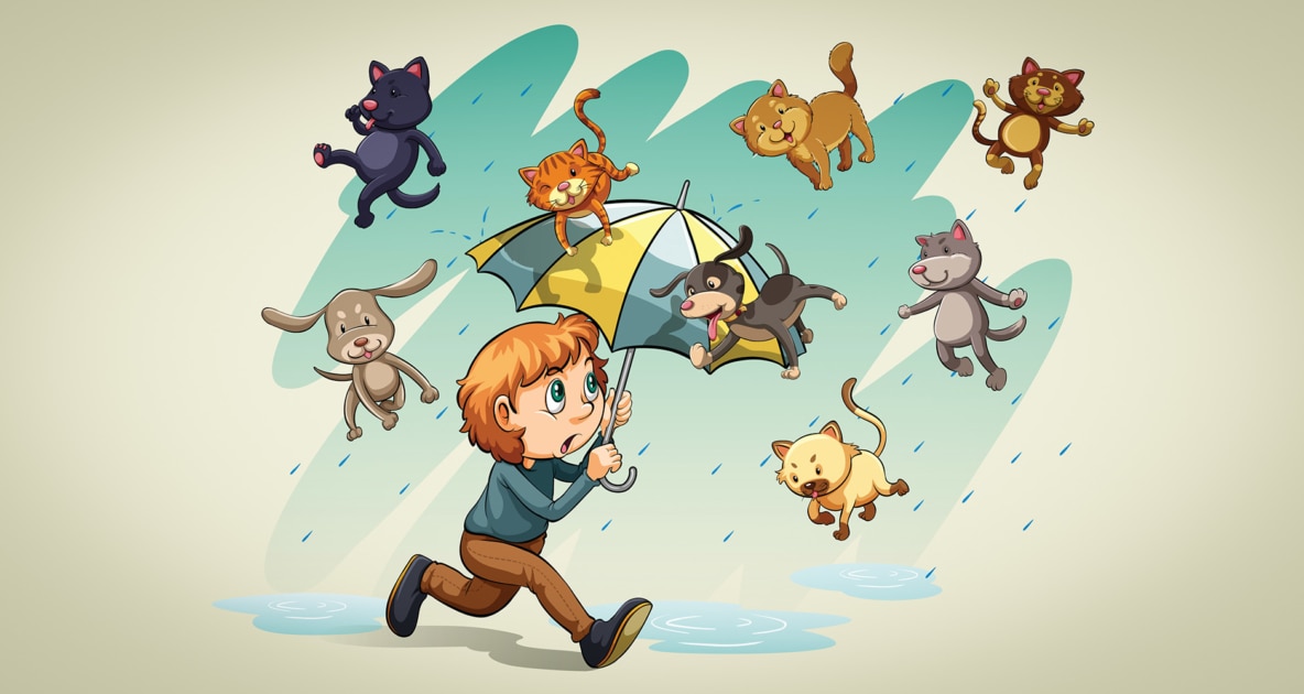 How did the phrase 'it's raining cats and dogs' originate?