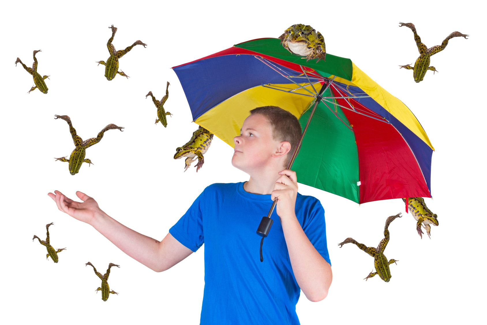 5 Strange Things That Have Rained From The Sky - Farmers' Almanac - Plan Your Day. Grow Your Life. 5 Strange Things That Have Rained From The Sky - Farmers' Almanac - Plan Your Day. Grow Your Life.