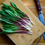 Scallion - Ramp