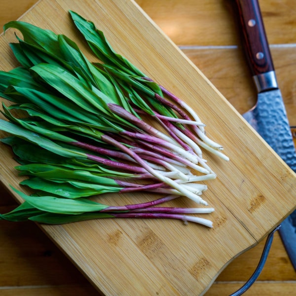 What's So Special About Ramps? Farmers' Almanac Plan Your Day. Grow