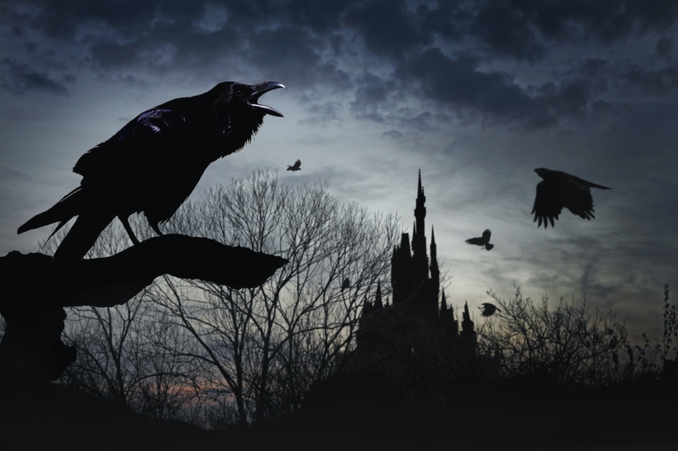 treehouse of horror raven