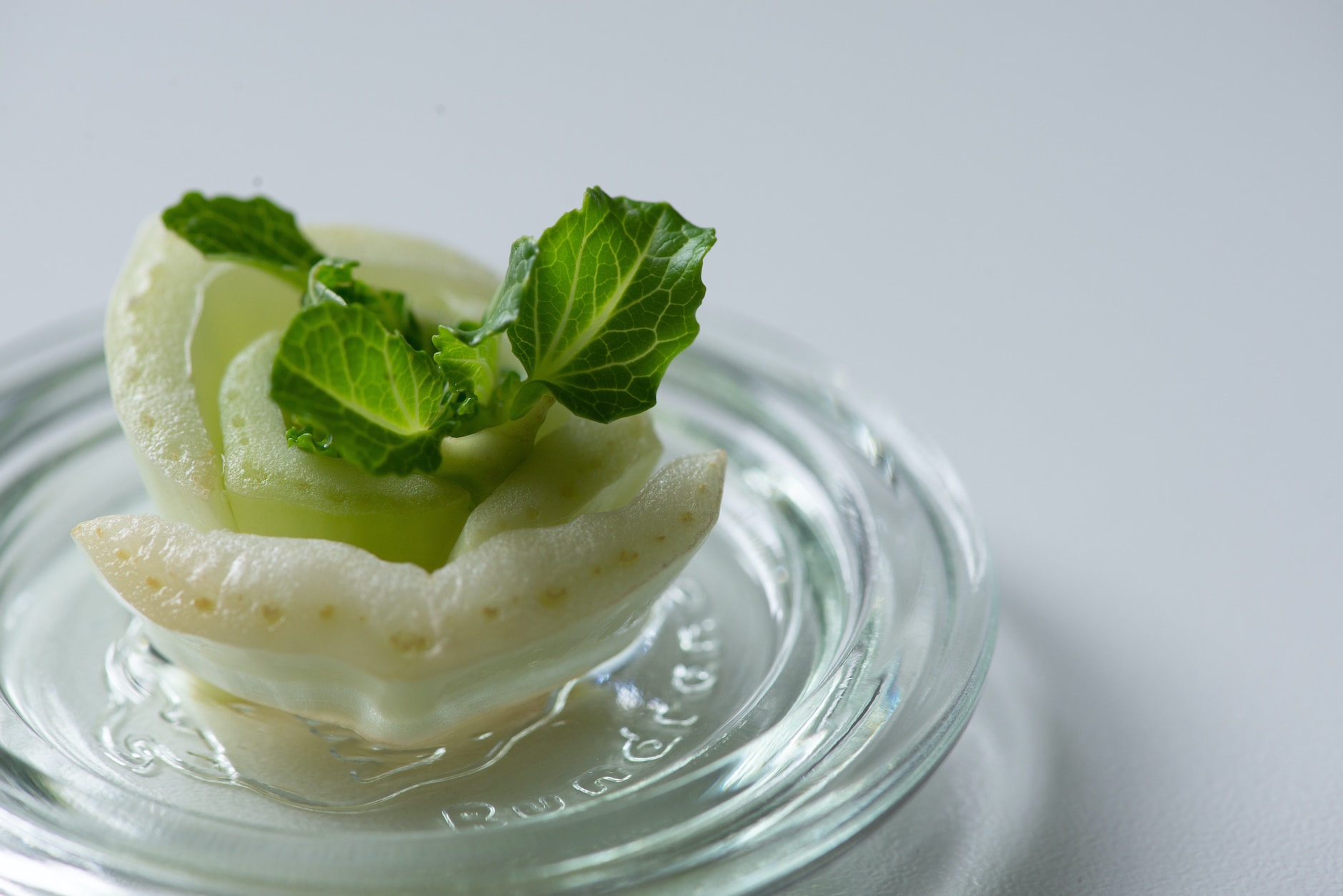 Don’t Toss It, Plant It! 12 Vegetables You Can Regrow From Scrapsimage preview
