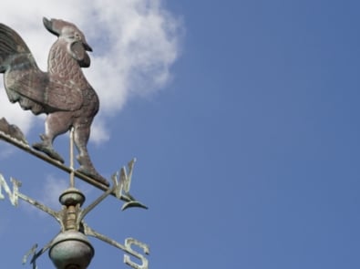Why Are Roosters On Weathervanes? featured image