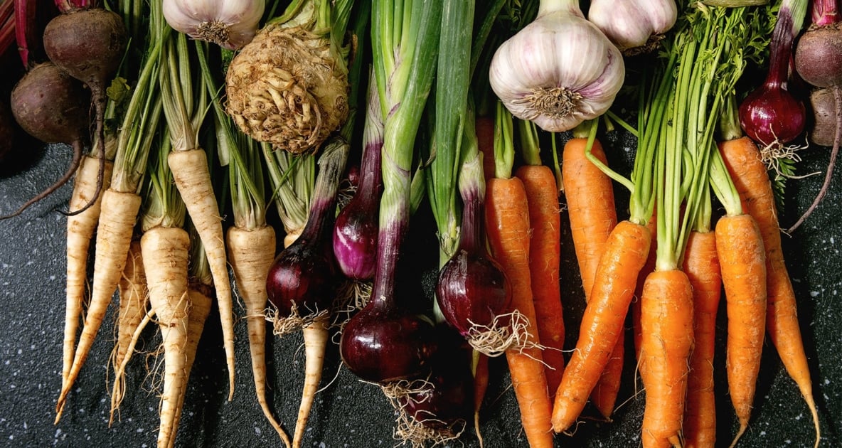 Root Vegetables - Vegetable