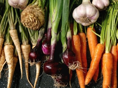 How to Store Root Vegetables, without a root cellar featured image