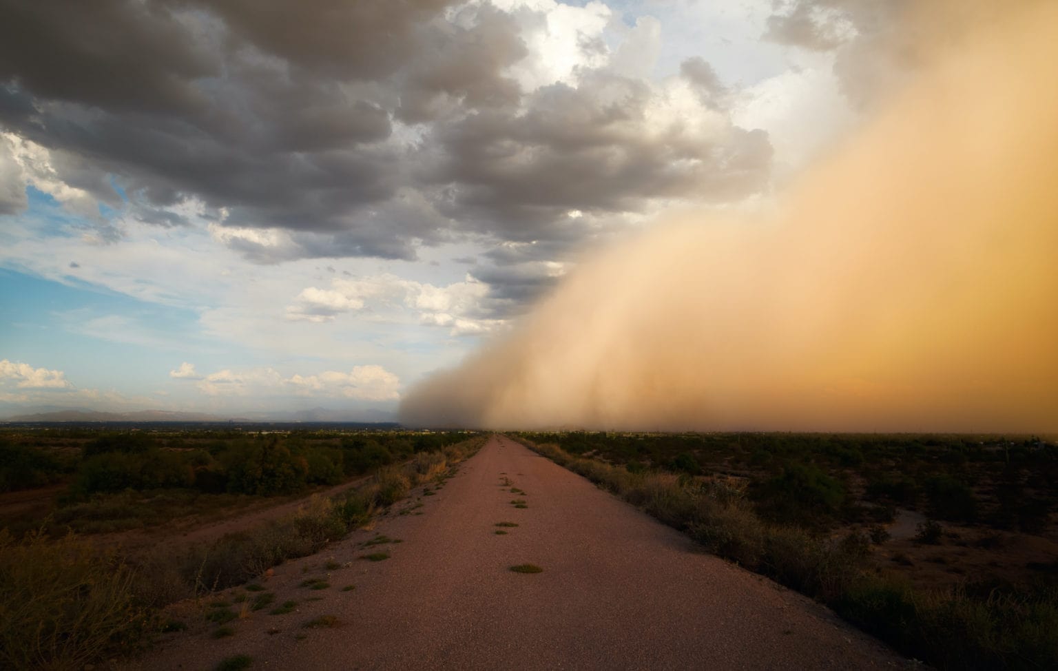 Bluestocking Redneck Dusty Days Ahead As Saharan Dust Cloud Crosses