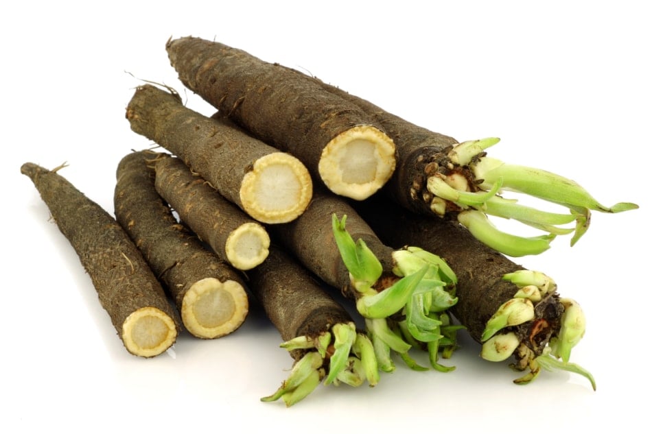 Black salsify - Salsify