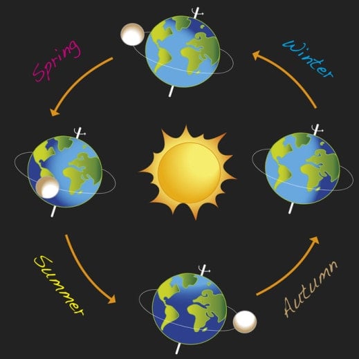 Illustration of Earth orbiting Sun to reflect the different seasons.