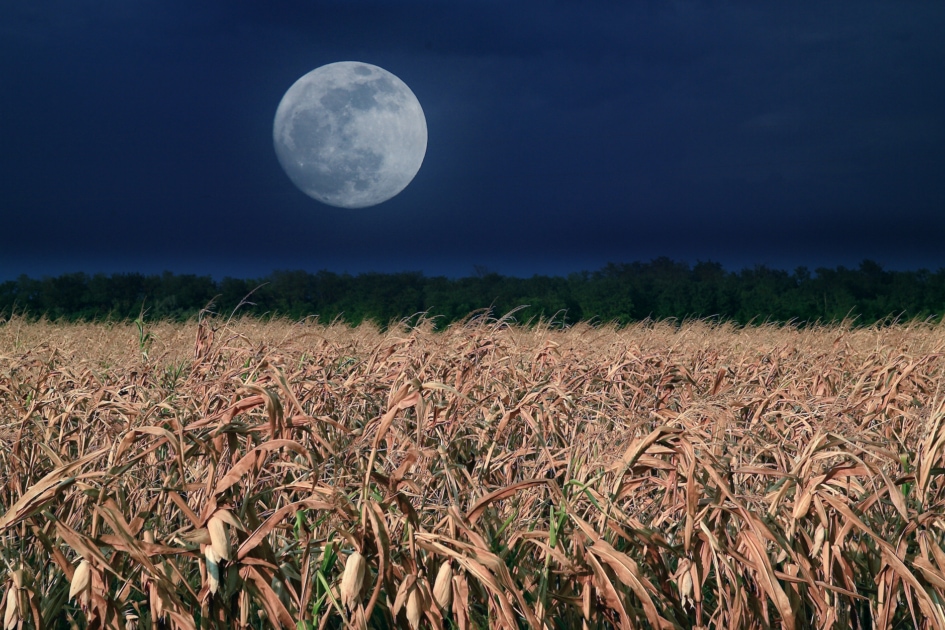 Lunar eclipse - Full moon