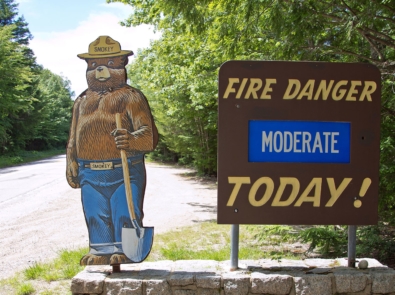 How did Smokey Bear Become the Wildfire Prevention Mascot? featured image