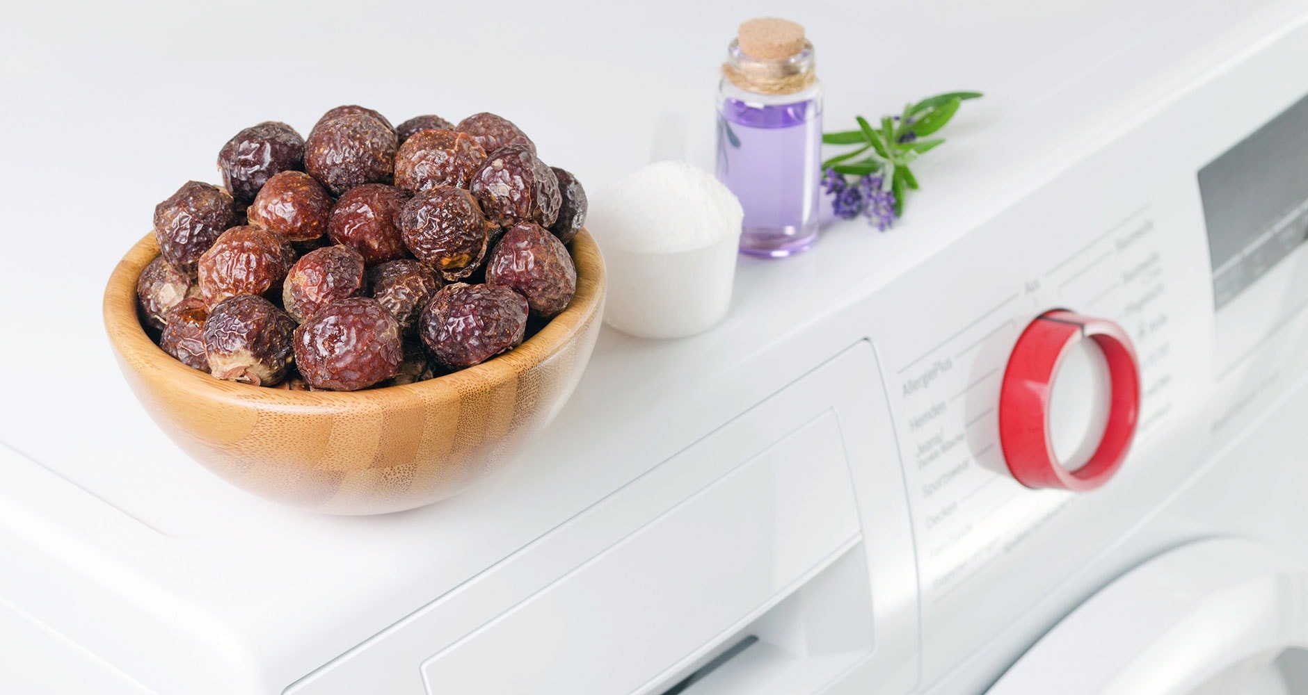 What The Heck Are Soap Nuts? Farmers' Almanac Plan Your Day. Grow